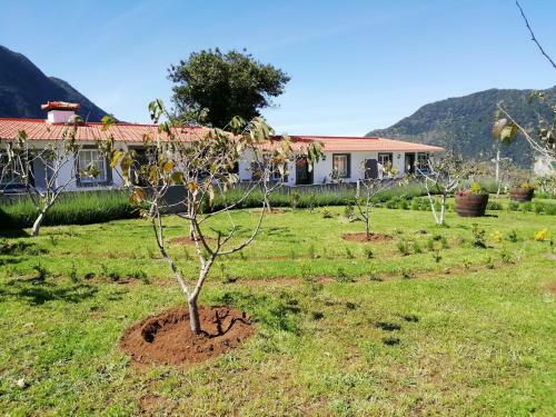 Agroturismo Granny's Farm