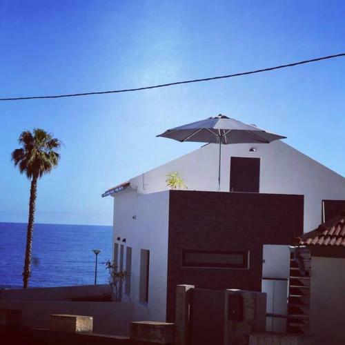 Apartamento Lazy Lizard Studio