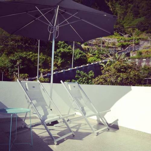 Apartamento Lazy Lizard Studio