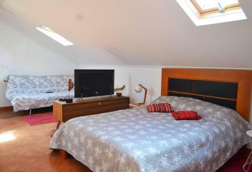 Apartamento Lazy Lizard Studio