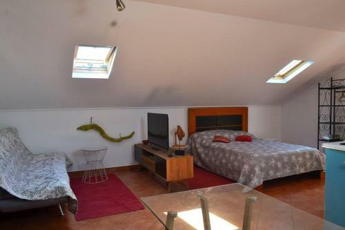 Apartamento Lazy Lizard Studio