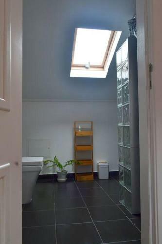 Apartamento Lazy Lizard Studio