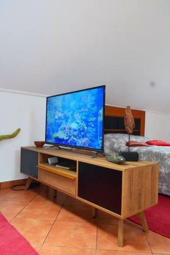 Apartamento Lazy Lizard Studio