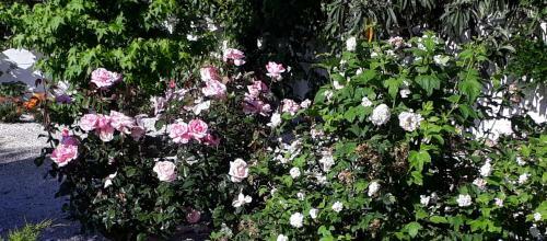 Bed & Breakfast Casa Do Sapateiro