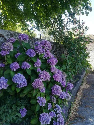Bed & Breakfast Solar Dos Carvalhos