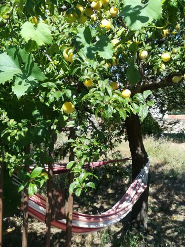 Bed & Breakfast Solar Dos Carvalhos
