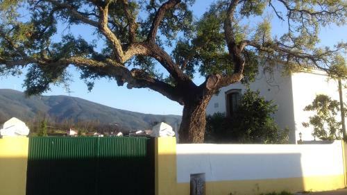 Apartamento Casa Branca