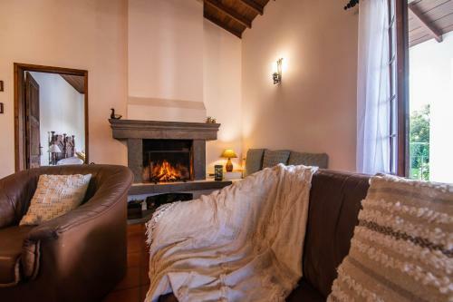 Casa Do Pinheiro With Shared Swimming Pool