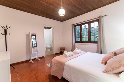 Casa Do Pinheiro With Shared Swimming Pool