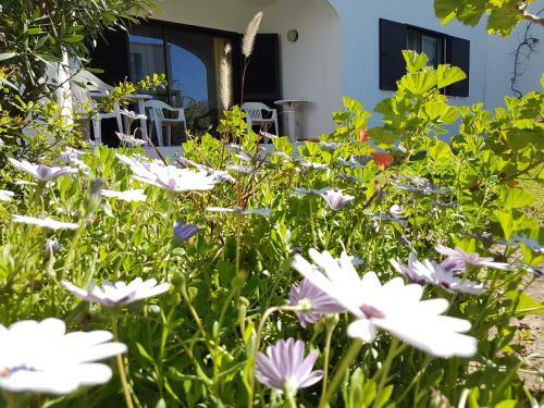 Apartamento Perfect Holidays - Sao Rafael