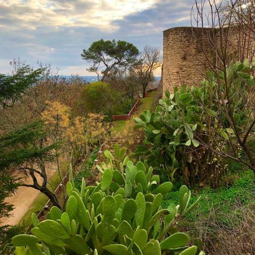 Apartamento Benbserta