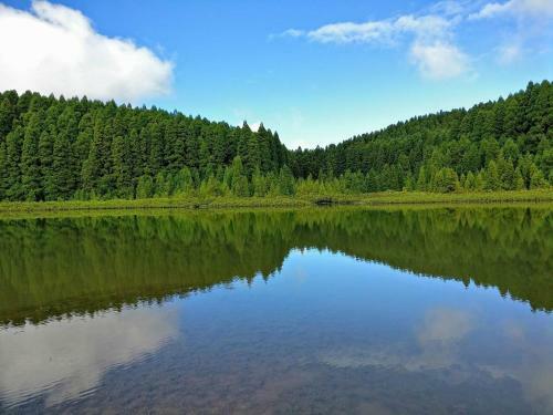 Sete Cidades Nature Villa