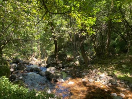 Encosta Do Douro - Rio Douro