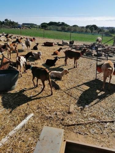 Monte Do Craveirinho - Casa Rural de F�rias