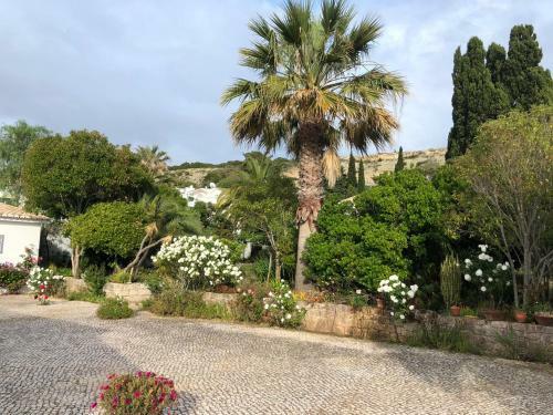 Charming Villa With Heated Pool Near Sandy Beach, Hiking, Golf And Wineries