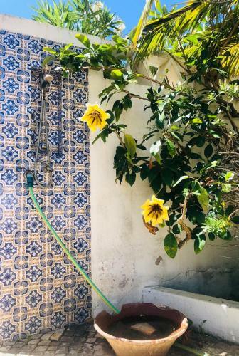 Charming Villa With Heated Pool Near Sandy Beach, Hiking, Golf And Wineries