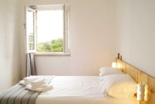 Apartamento Pinho