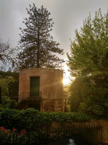 Moon House