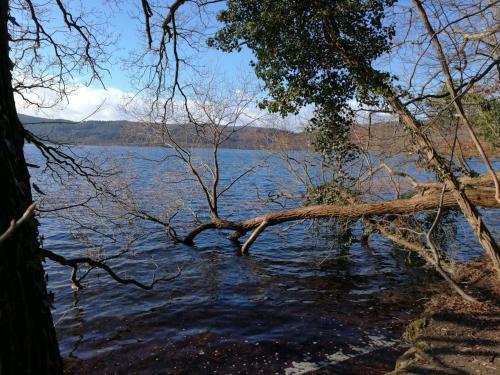 Apartamento Ferienwohnung Maria Laach