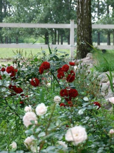 Apartamento Elisabethhills