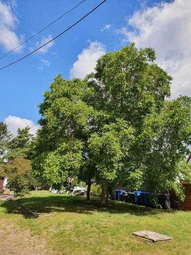 Apartamento Ferienwohnung 2