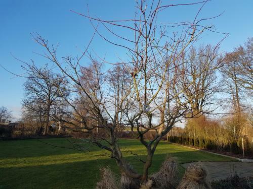 Apartamentos Appartement Seeve