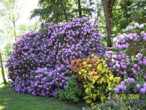 Apartamento Fewo Worpswede