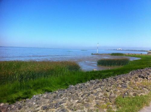 Apartamento Deichdomizil Seeblick