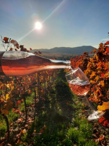 Apartamento Weingut-ferienhof Sch�fer