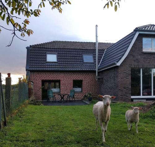 Apartamento Nibo Hof