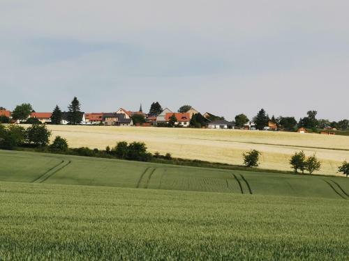 Apartamento Ferienwohnung "am Saalehaken"
