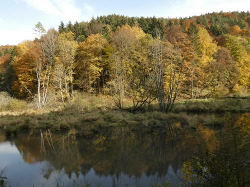 Apartamento Goldener Fuchs In Moschendorf