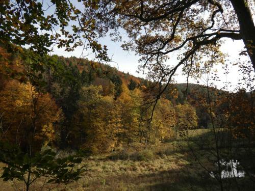 Apartamento Goldener Fuchs In Moschendorf