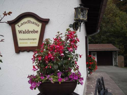 Apartamento Landhaus Waldrebe