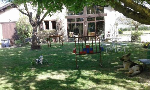 Bed & Breakfast Villa Gazounette
