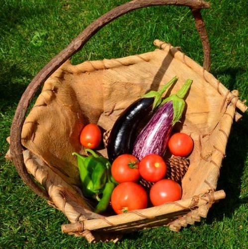 Bed & Breakfast Domaine de La Castagn�re