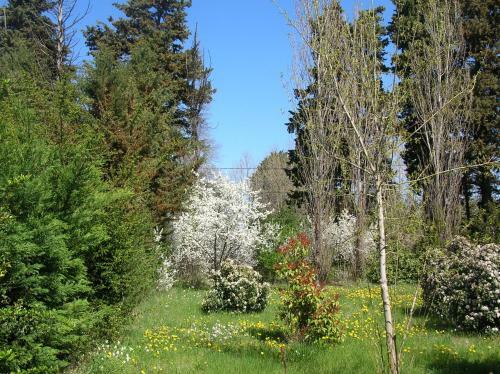 Bed & Breakfast Le Mas de La Cigale Bleue, Caumont Sur Durance