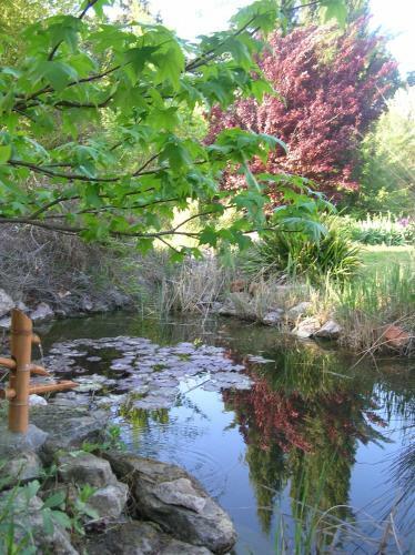 Bed & Breakfast Le Mas de La Cigale Bleue, Caumont Sur Durance