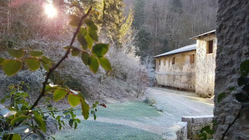 Bed & Breakfast Les Chambres de Liane