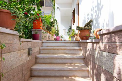 Apartamentos Great Alexander Suites