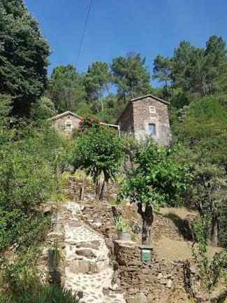 Bed & Breakfast Le Mas Des Sources Cevenol Chambon
