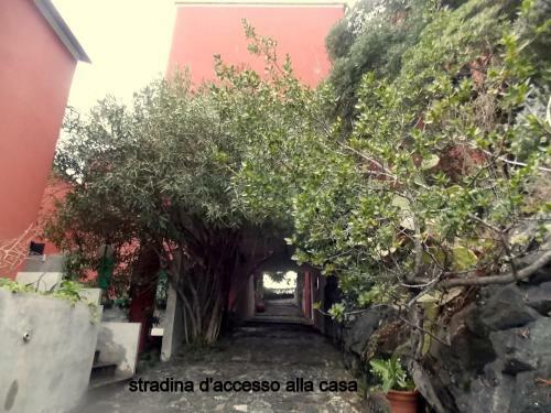 Apartamento Cinqueterre National Park With Super Sea View