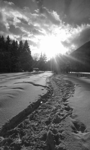 Apartamento Le Chamoniard