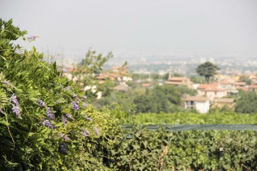 Apartamento Appartamento In Villa Santa Caterina