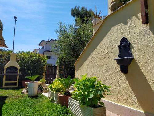 Hostal Luxury Apartment Magnolia Terrace