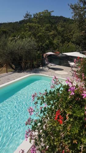 Apartamento Il Diacciarello