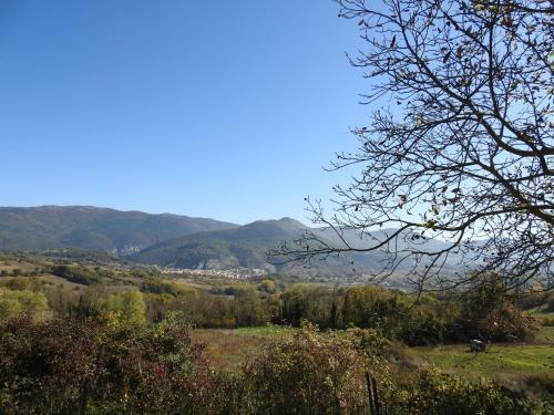 Il Vecchio Olmo
