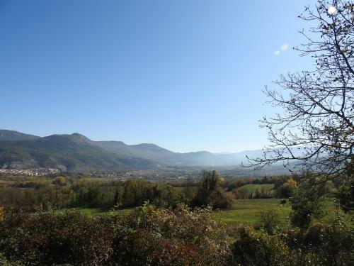 Il Vecchio Olmo