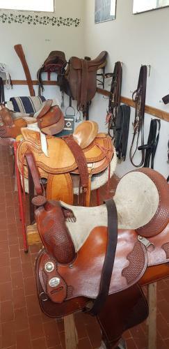 Il Vecchio Olmo