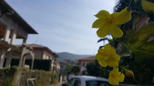 Apartamento Loft Karol Taormina